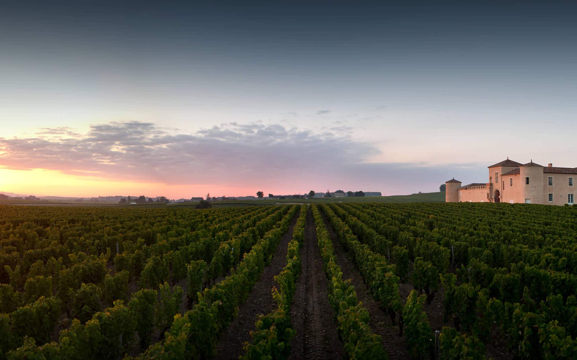Fine wines